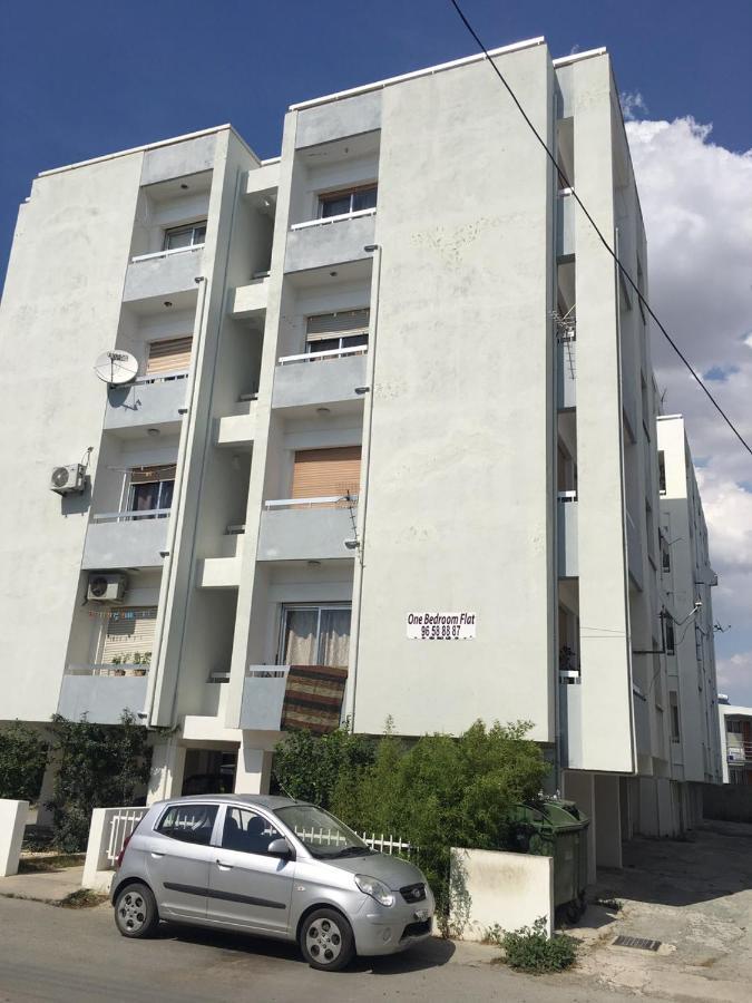 Youthfull Escape In Appartement